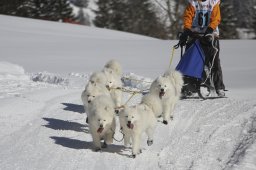 Kandersteg 2013